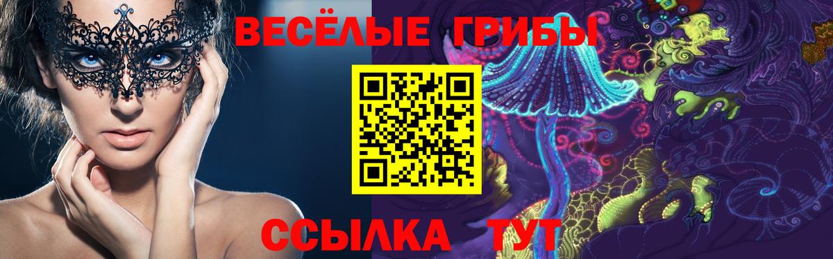 Псилоцибиновые грибы прущие грибы Сланцы